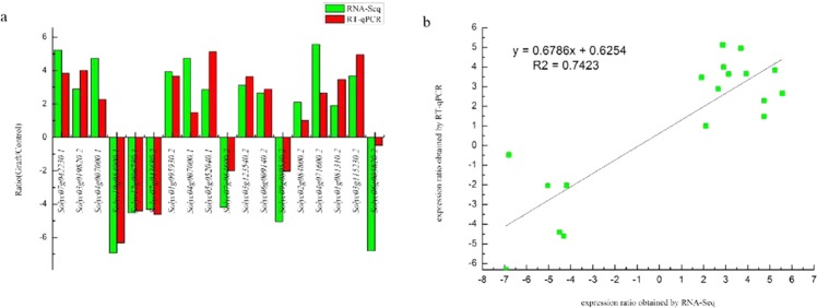 Figure 6