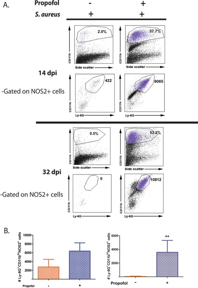 FIG 5