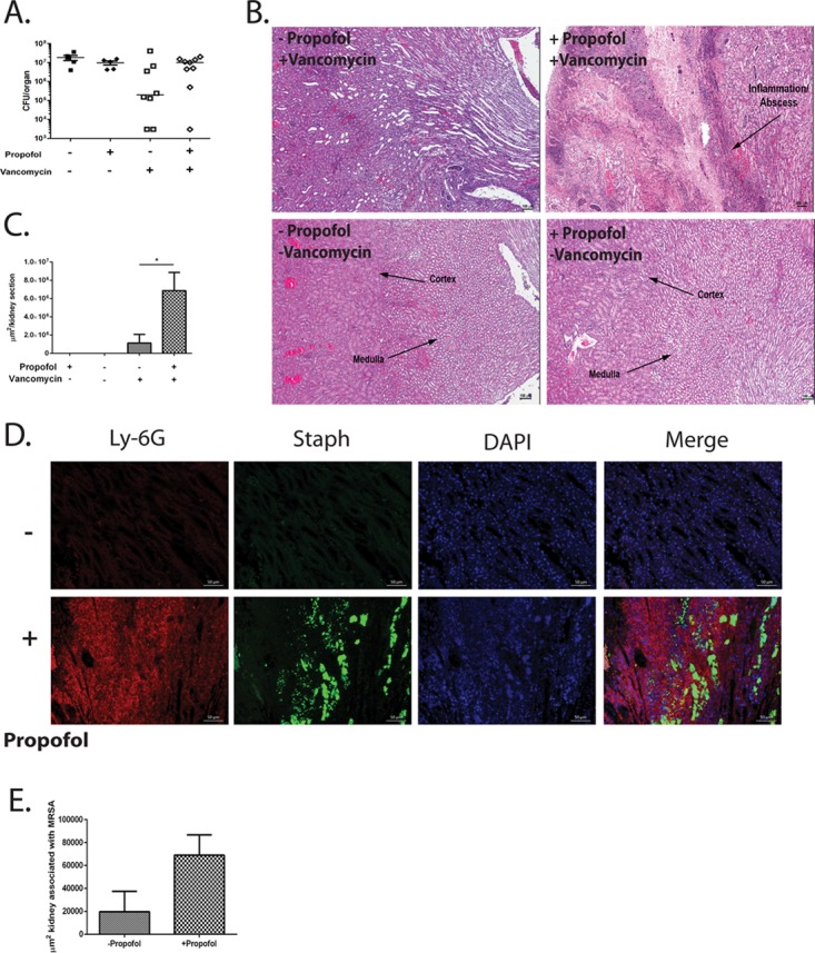 FIG 6