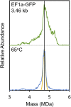 Figure 5