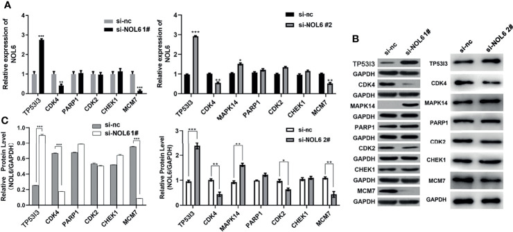 Figure 7