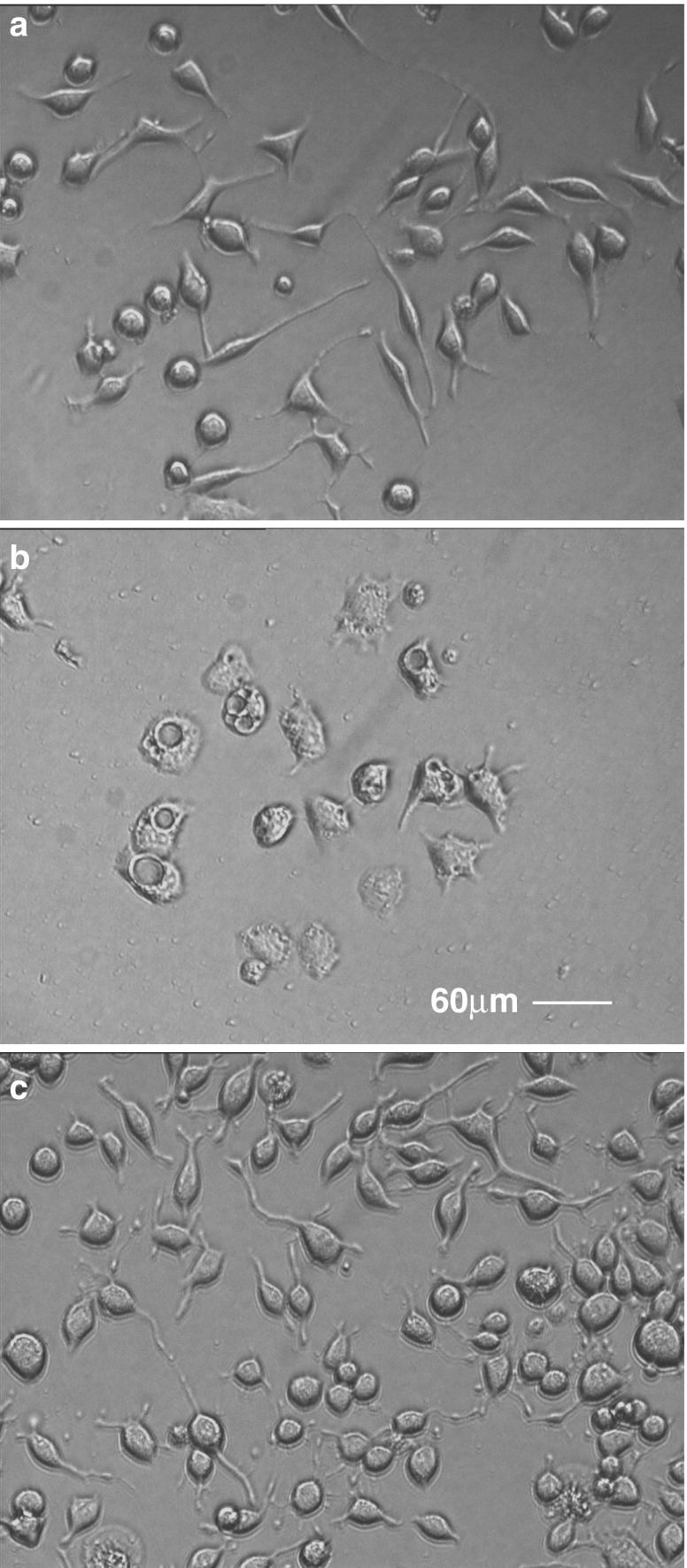 Fig. 6