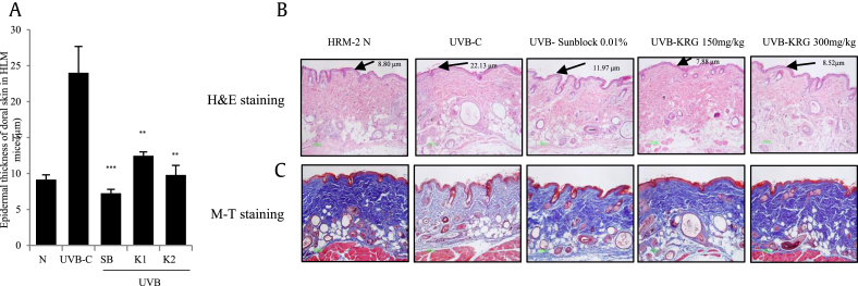 Fig. 7