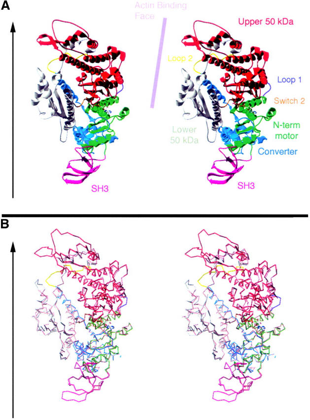 Figure 6.—