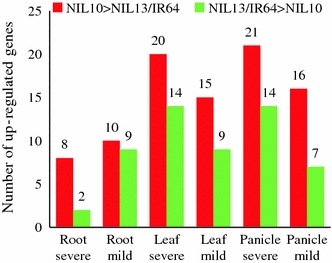 Fig. 8