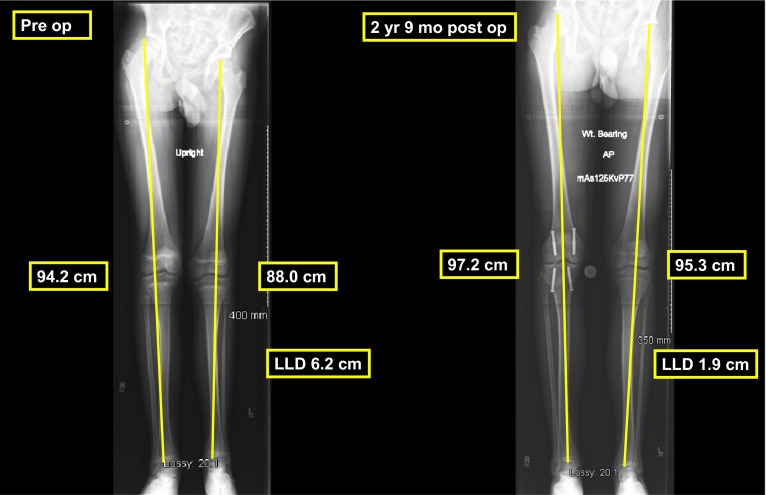 Fig. 4