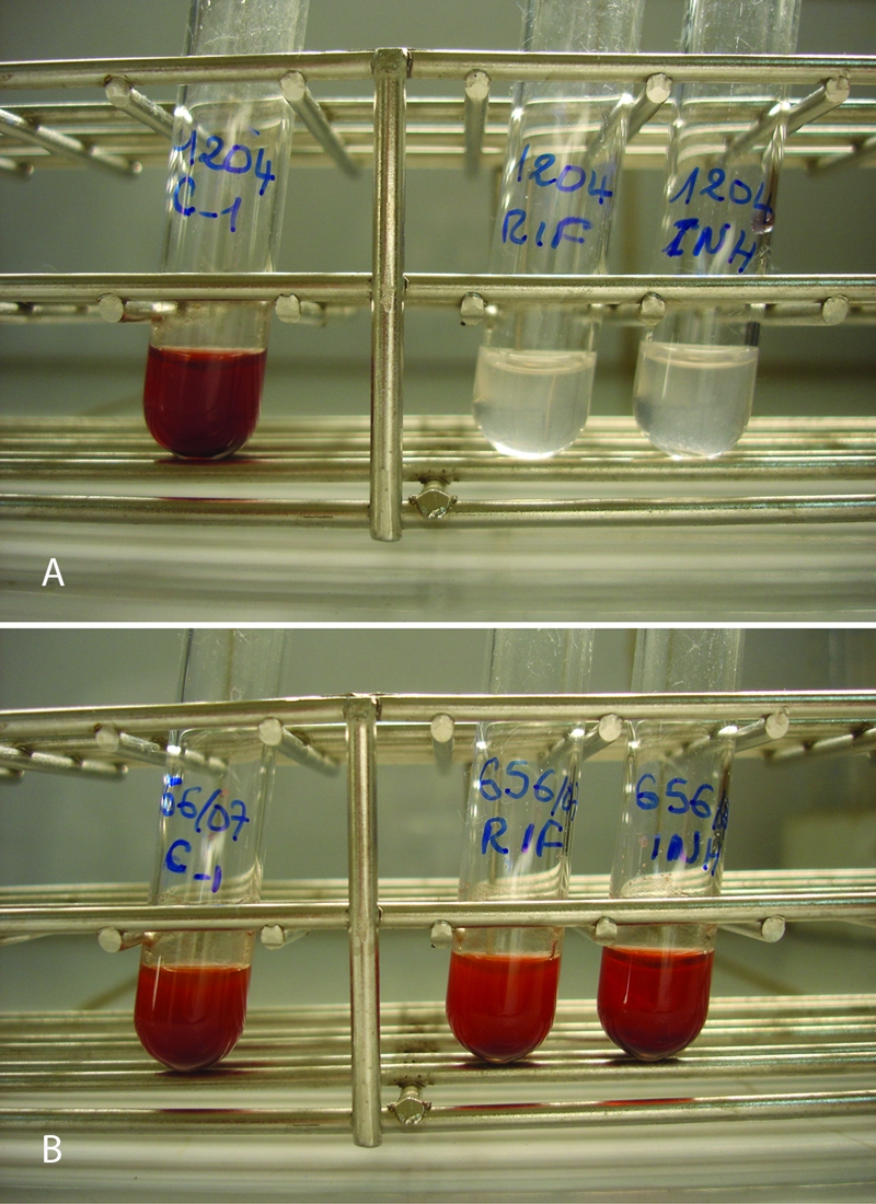 FIG. 1.