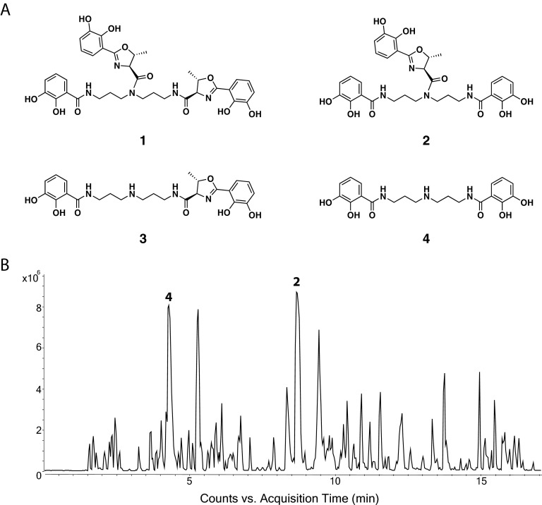 FIG 4