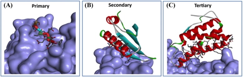 Fig. 2