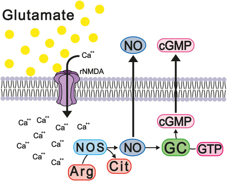 FIGURE 6