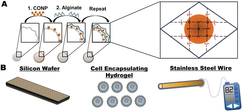 Figure 1.