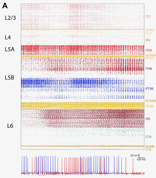 Figure 2: