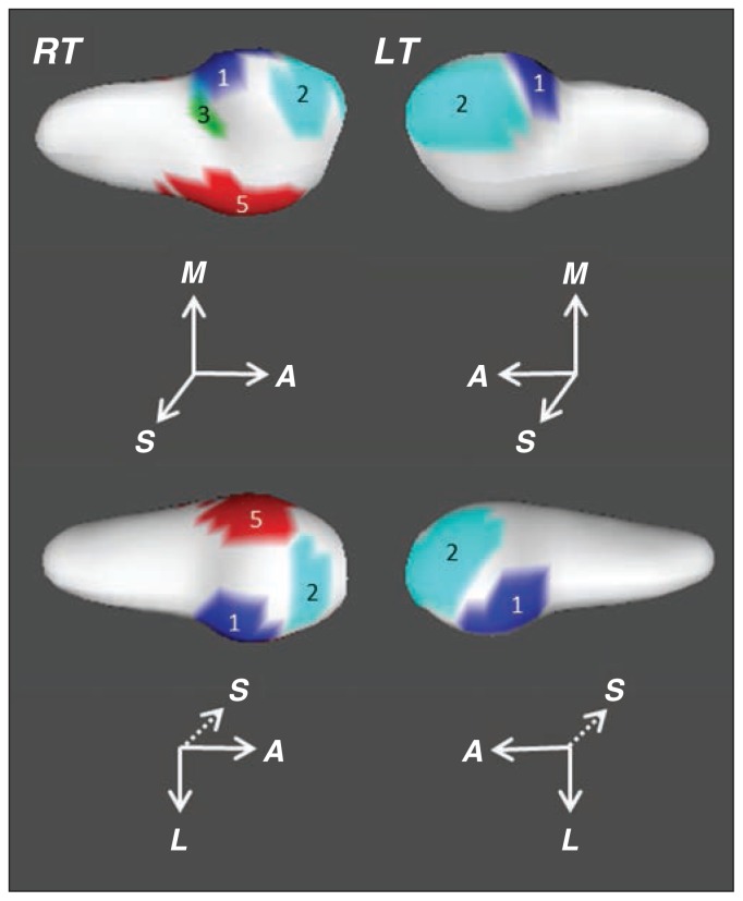 Fig. 4