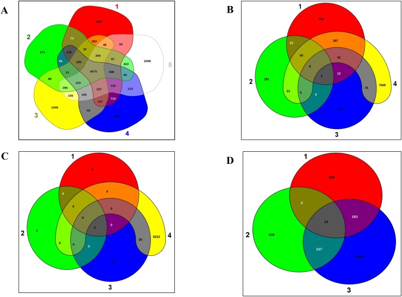 Fig 5