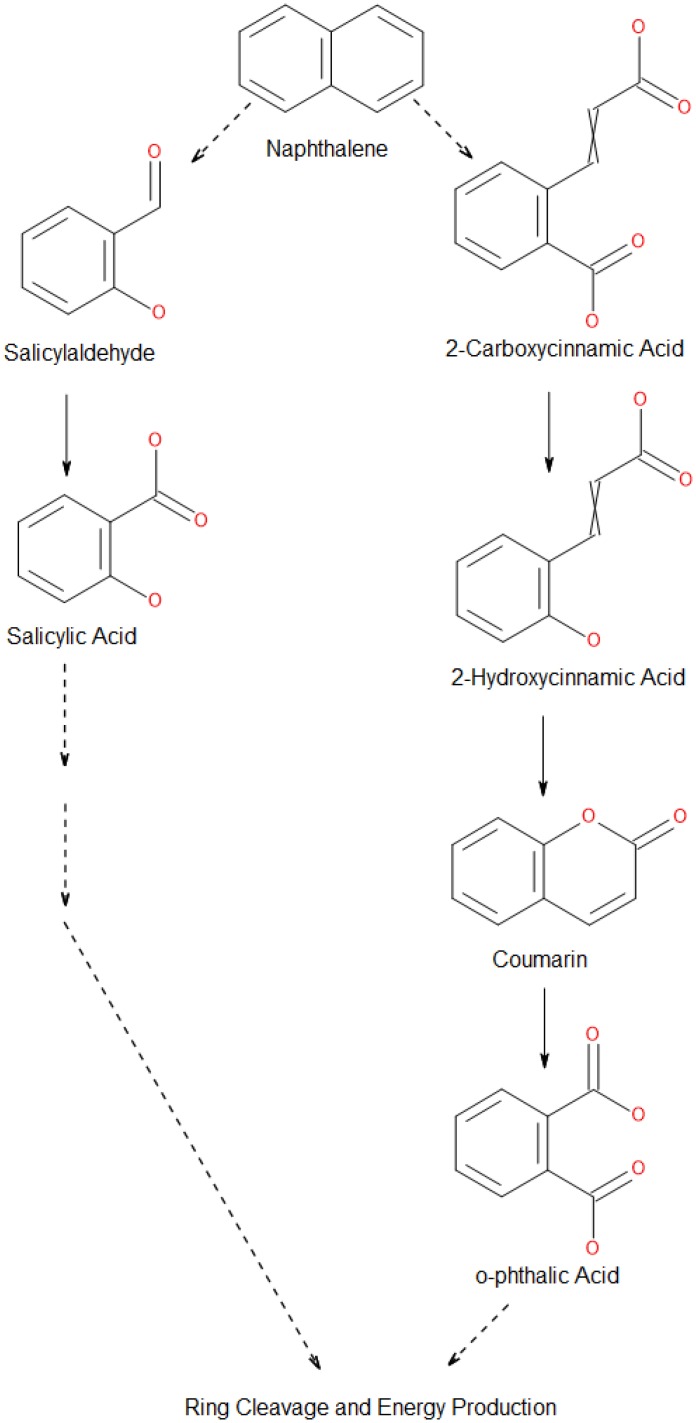 Fig 7