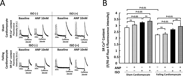 Fig 4