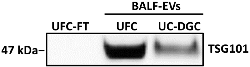 Figure 4: