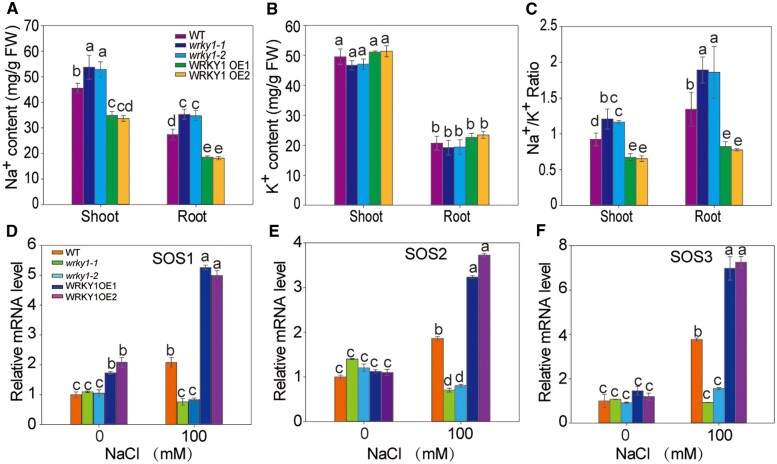 Figure 6