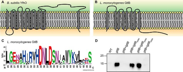 Figure 9.