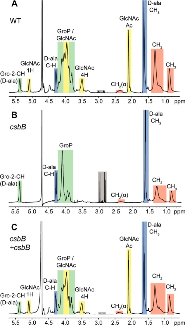 Figure 2.