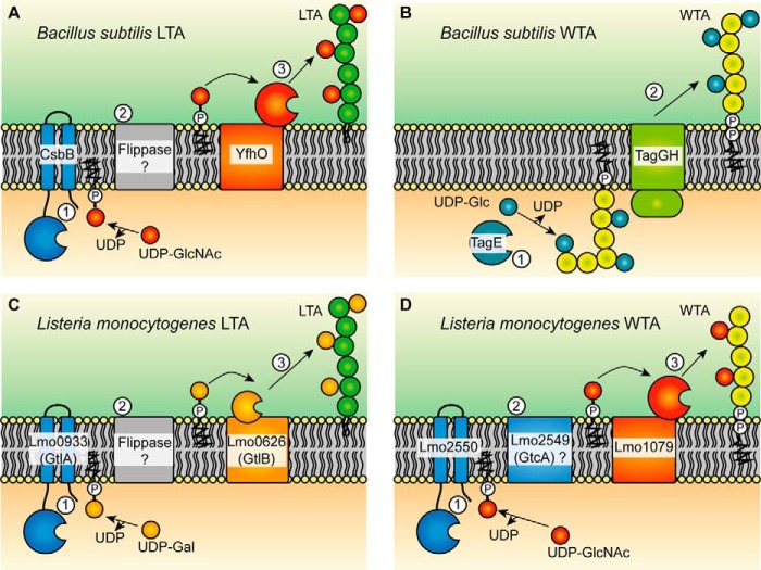 Figure 10.