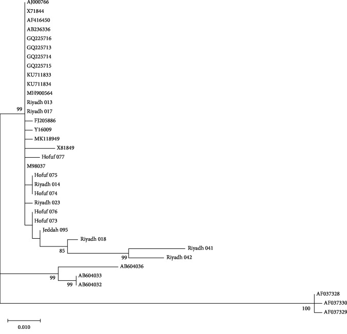 Figure 5