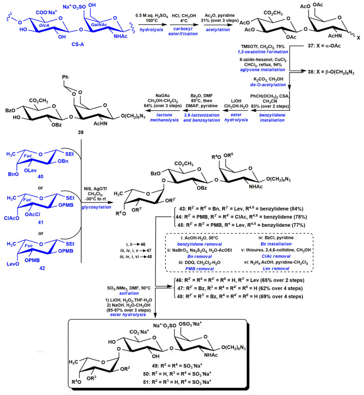 Scheme 5