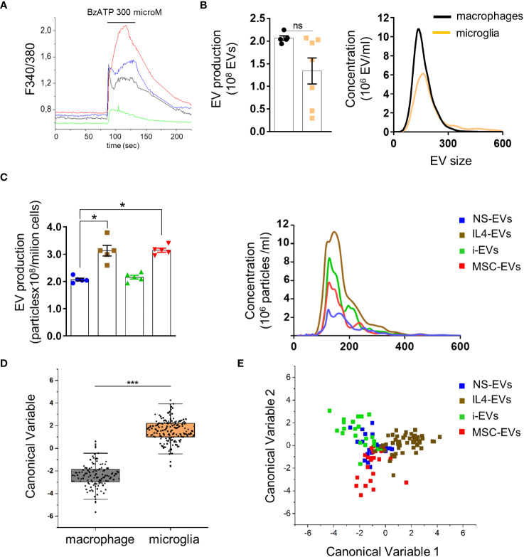 Figure 2