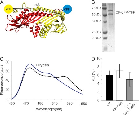 FIGURE 6.