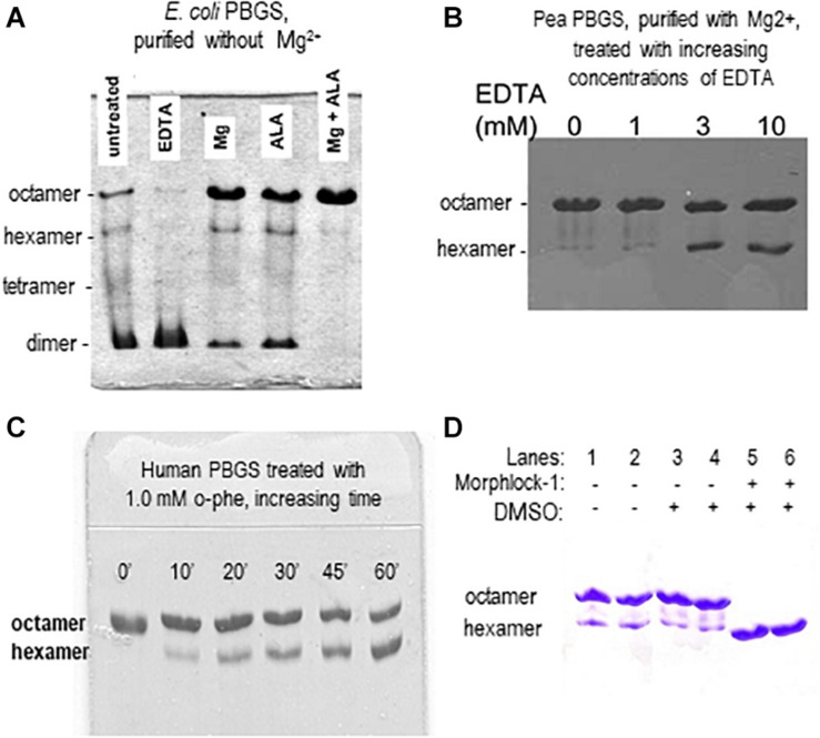 FIGURE 3