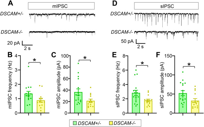 Fig 6