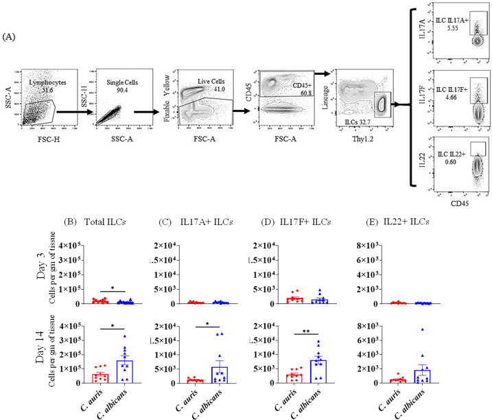 Fig 4