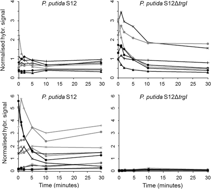 Fig 6