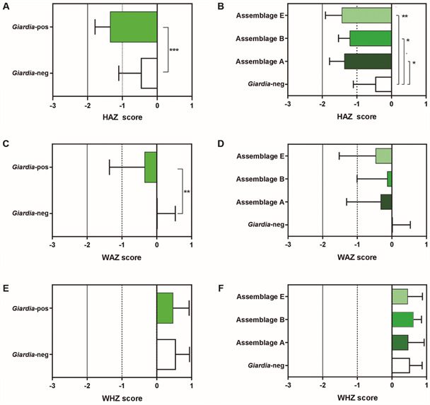 Influence of Giardia lamblia infection and its assemblages on anthropometric parameters measured on preschool children. A and B: height-for-age (HAZ); C and D: weight-for-age (WAZ); E and F: weight-for-height (WHZ). The insert in A, C and E is a dot plot representation of individual’s Z-score values. The column bar represents the median values with interquartile range. Asterisks denote statistically significant differences between groups compared by Mann-Whitney U non-parametric test. * p < 0.05; ** p < 0.005. Giardia-pos: Giardia-positive; Giardia-neg: Giardia-negative.