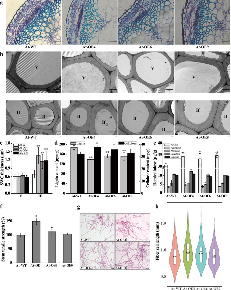 Fig. 4