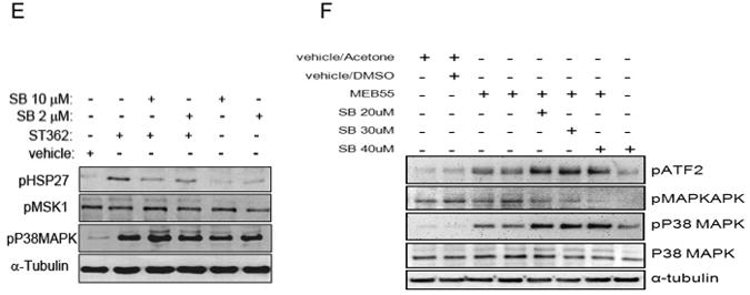 Fig 10