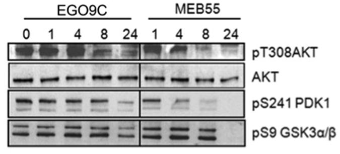 Fig 11