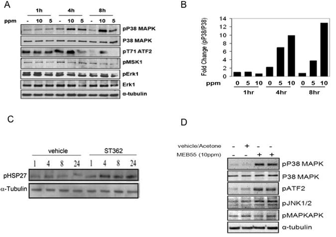 Fig 10