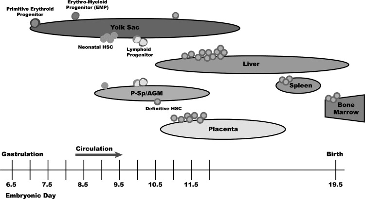 FIG. 1.