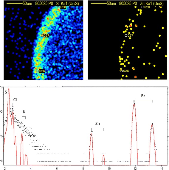 Fig. 4