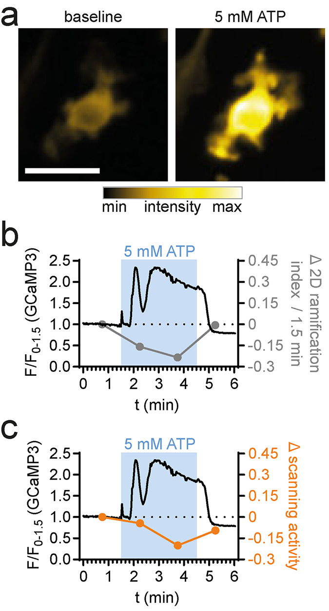 FIGURE 7: