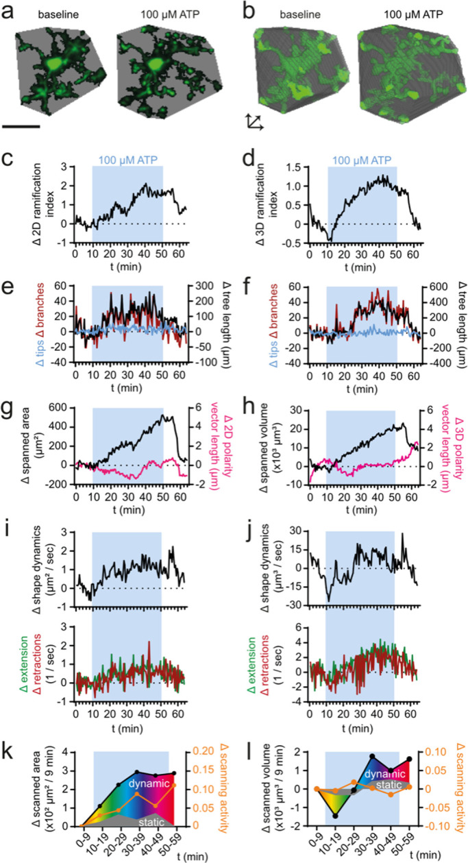 FIGURE 3: