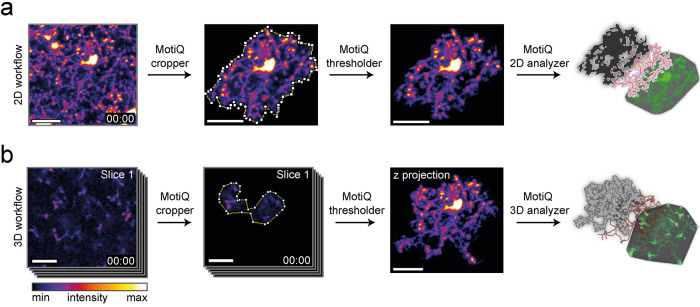 FIGURE 1: