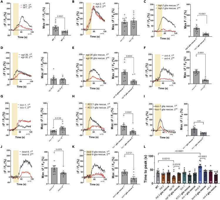 Figure 4