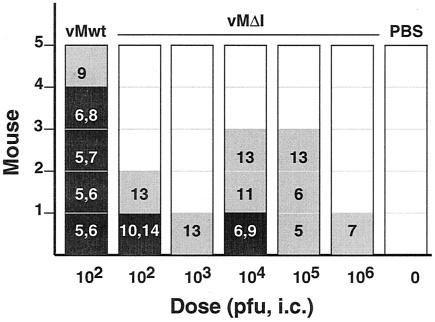 FIG. 6