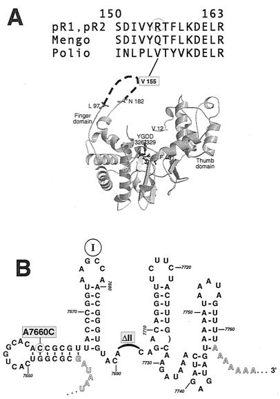 FIG. 7