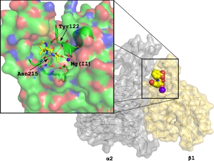 Fig. 3.