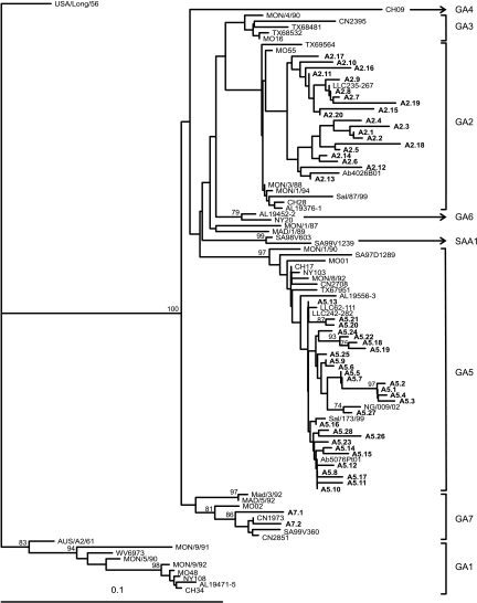 FIG. 2.