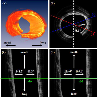 Fig. 4