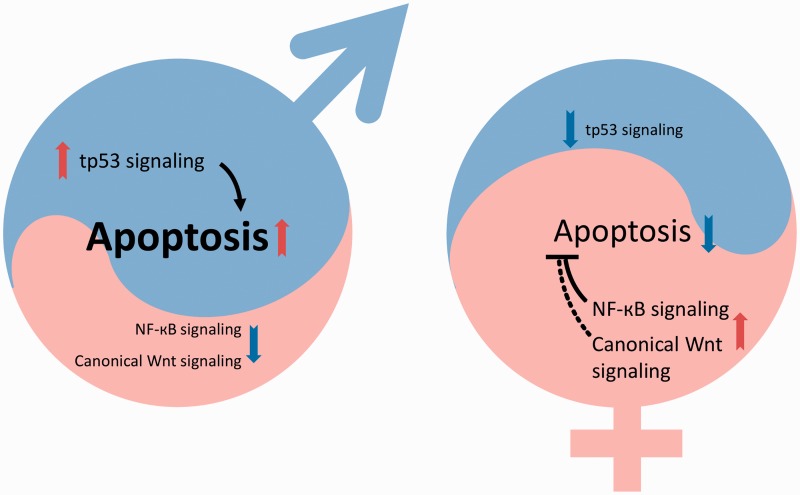 Figure 5: